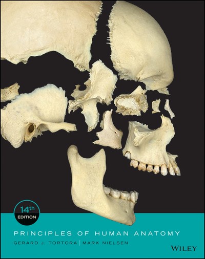 Journal of Prosthodontics